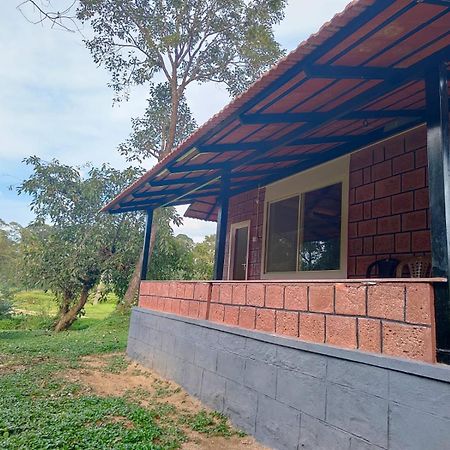 Nature Spot Cottages Coorg Kurchi 外观 照片
