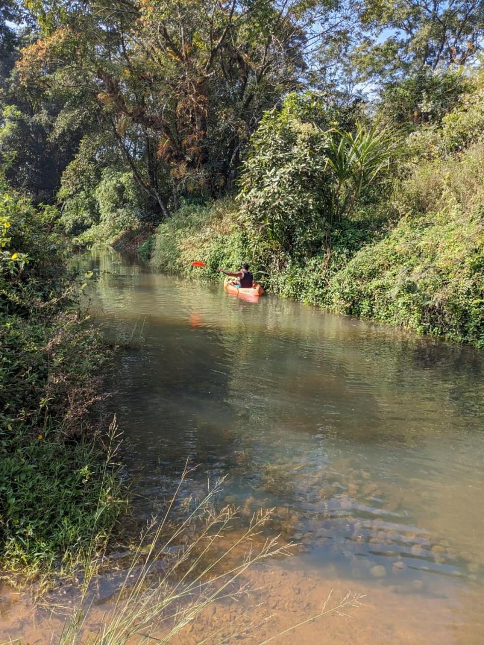 Nature Spot Cottages Coorg Kurchi 外观 照片