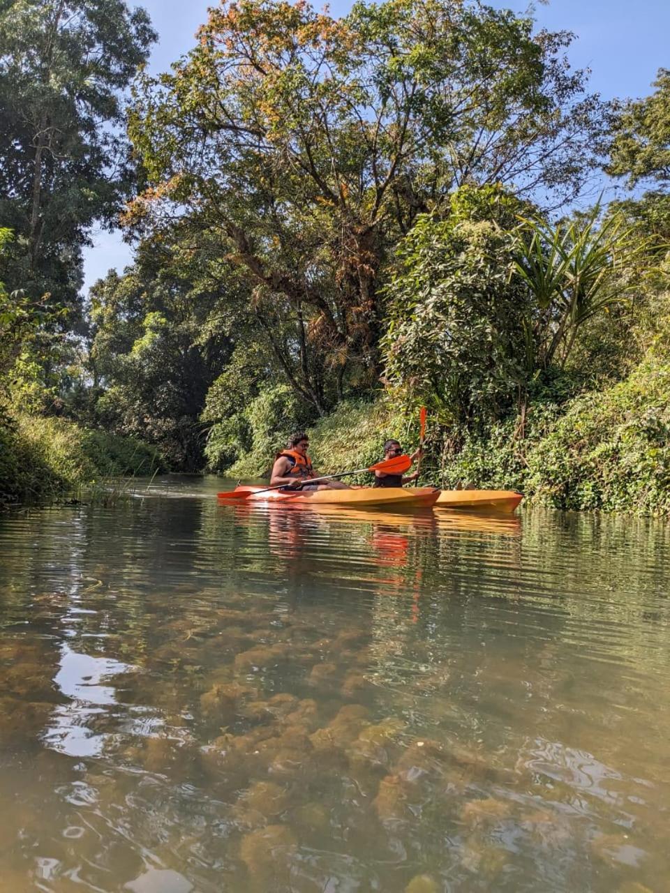 Nature Spot Cottages Coorg Kurchi 外观 照片